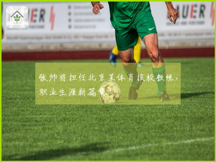 张帅将担任北京某体育技校教练，职业生涯新篇章