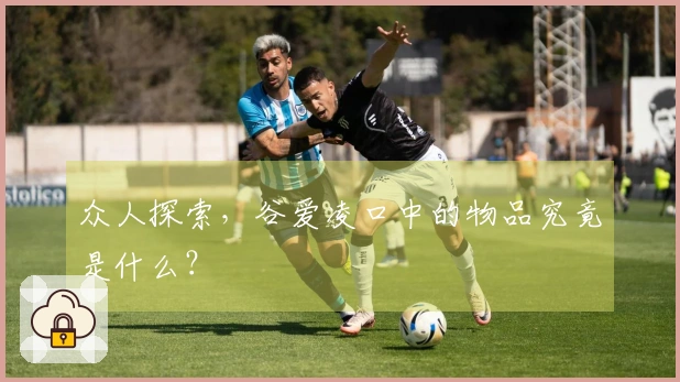 众人探索，谷爱凌口中的物品究竟是什么？