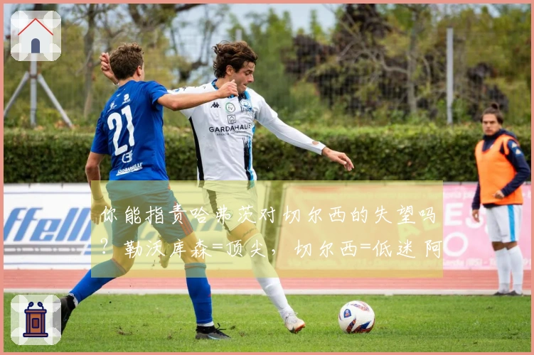 你能指责哈弗茨对切尔西的失望吗？勒沃库森=顶尖，切尔西=低迷 阿森纳著名教授